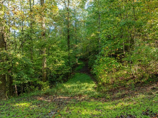 Lot 18 Wilderness Way, Ellijay, GA 30536