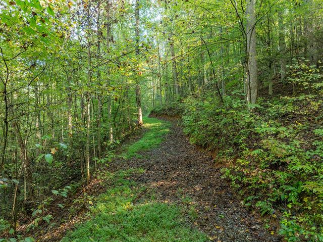 Lot 18 Wilderness Way, Ellijay, GA 30536
