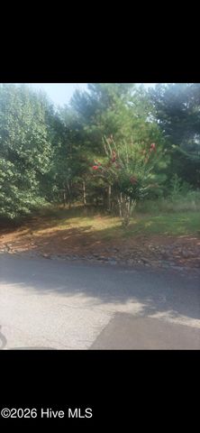 3 Dasali Way, Murphy, NC 28906