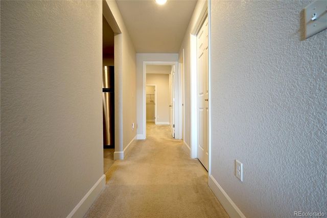 6782 Petunia Place, Castle Rock, CO 80108