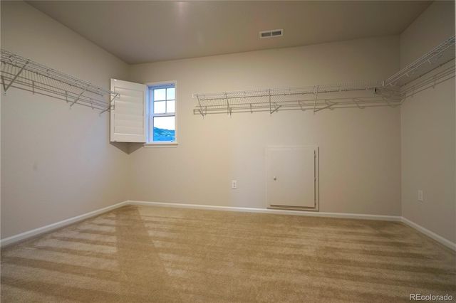 6782 Petunia Place, Castle Rock, CO 80108