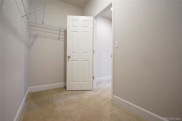 6782 Petunia Place, Castle Rock, CO 80108