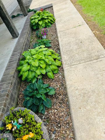 1310 Highway 258, Bald Knob, AR 72010