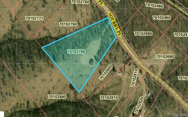 3772 Soubry Place, Fort Garland, CO 81133