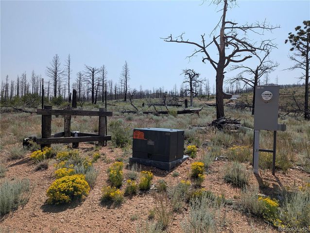 3772 Soubry Place, Fort Garland, CO 81133