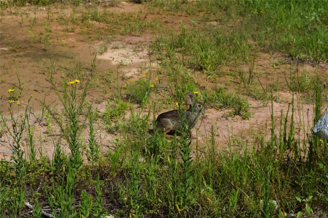 1353 Road 5727, Cleveland, TX 77327