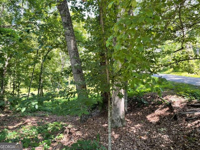 LOT 5 Old Hwy 64 E, Hayesville, NC 28904
