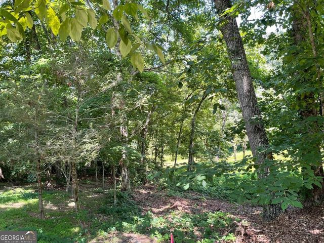 LOT 5 Old Hwy 64 E, Hayesville, NC 28904