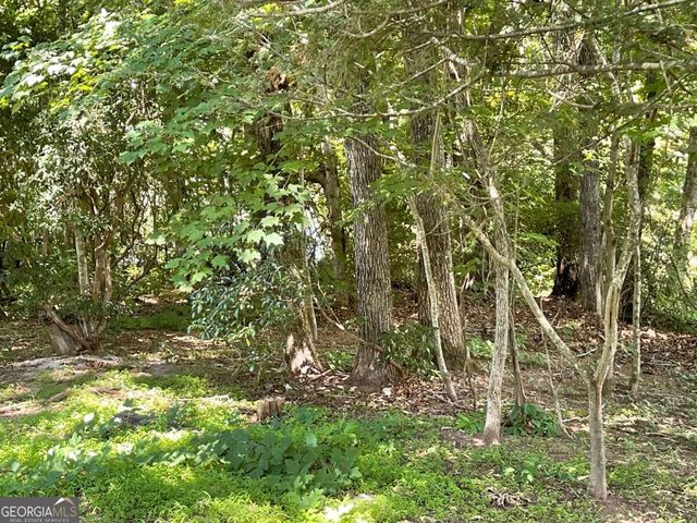 LOT 5 Old Hwy 64 E, Hayesville, NC 28904