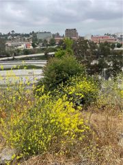 4433 Hayes, Los Angeles, CA 90063