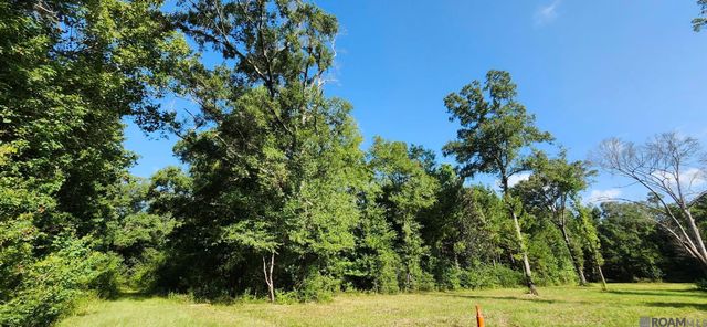 TBD Reames Rd, Zachary, LA 70791