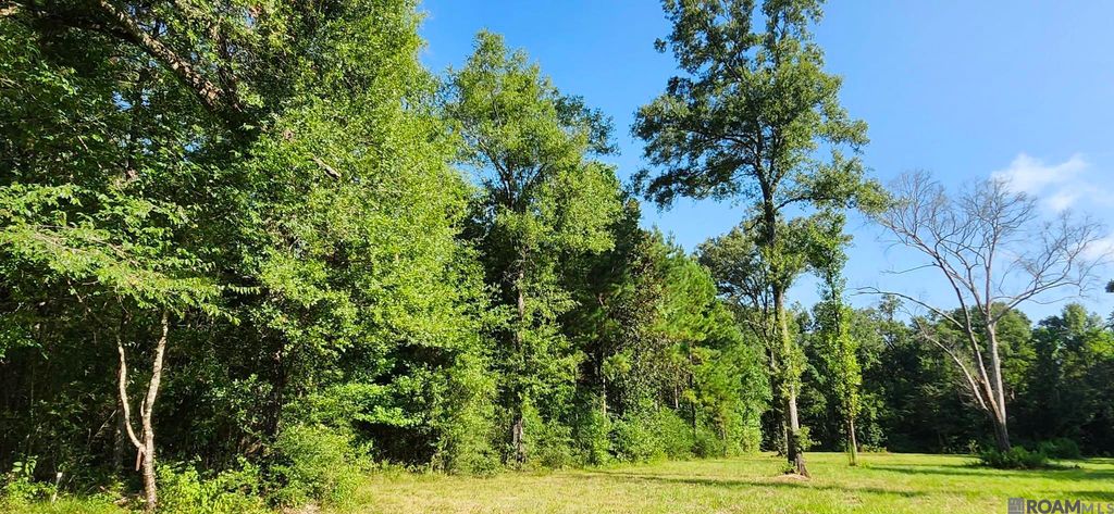 TBD Reames Rd, Zachary, LA 70791