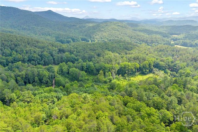 110 Wilderness End, Clarkesville, GA 30523