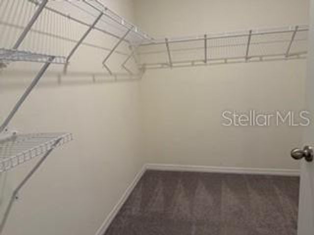 34076 SOARING BAMBOO PATH, Wesley Chapel, FL 33543