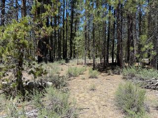 Off NF 9768 TL 300, Crescent, OR 97733