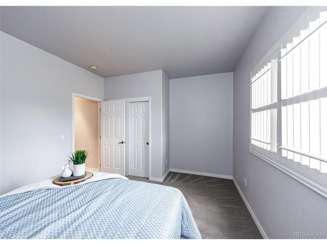 317 Deer Xing, Castle Rock, CO 80104