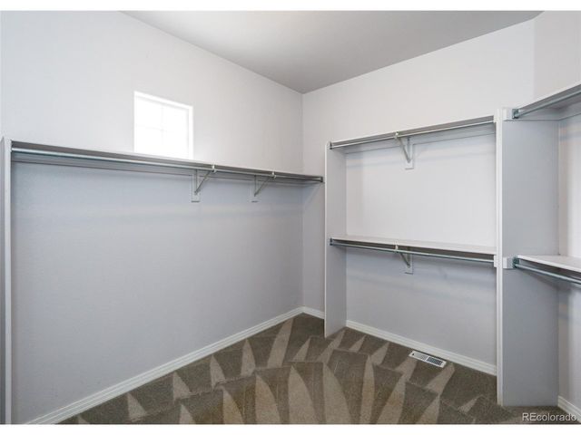317 Deer Xing, Castle Rock, CO 80104