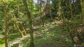0 XXX George Drive, Clinton, WA 98236