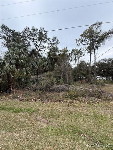 9942 W Hawthorne Street, Crystal River, FL 34428