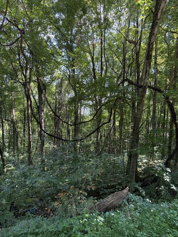 0 State Route 108, Altamont, TN 37301