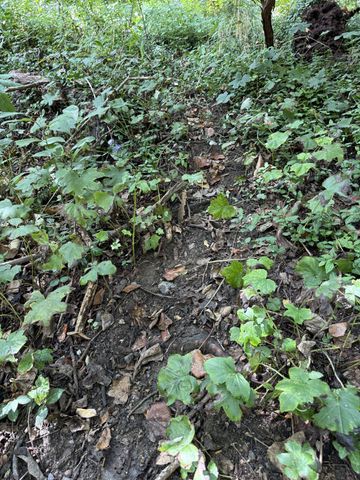 0 State Route 108, Altamont, TN 37301