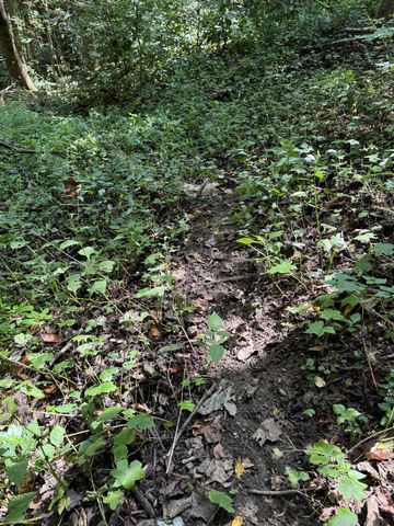 0 State Route 108, Altamont, TN 37301