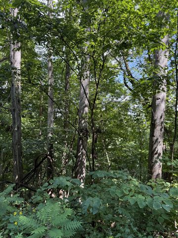 0 State Route 108, Altamont, TN 37301