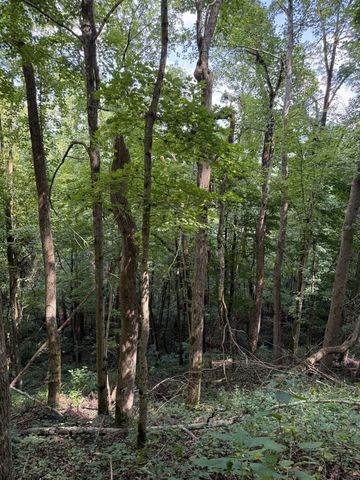 0 State Route 108, Altamont, TN 37301