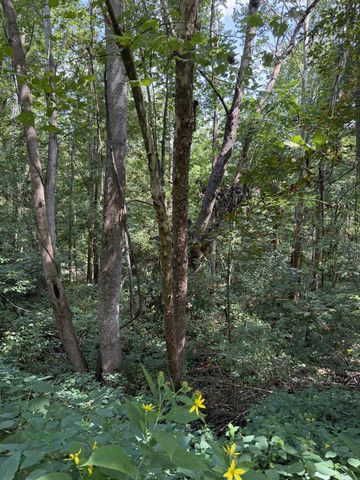 0 State Route 108, Altamont, TN 37301