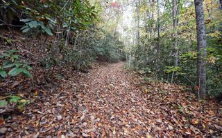 TBD Mclean Road, Andrews, NC 28901