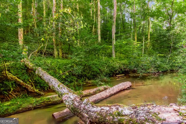 416 Mill Stone Mountain Lane, Blue Ridge, GA 30513