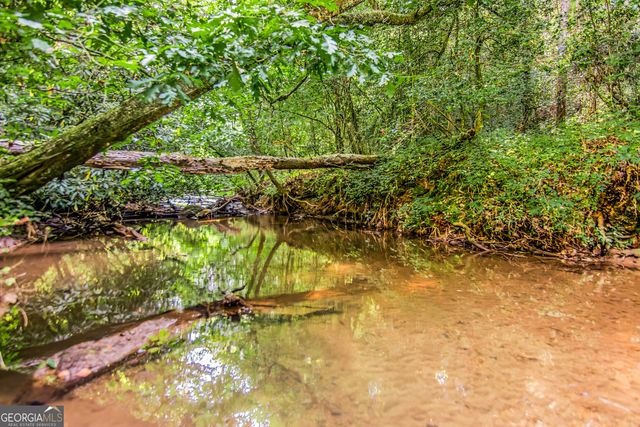 416 Mill Stone Mountain Lane, Blue Ridge, GA 30513