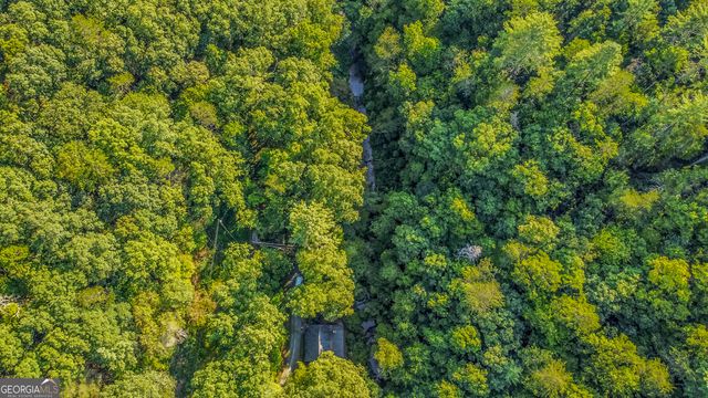 416 Mill Stone Mountain Lane, Blue Ridge, GA 30513