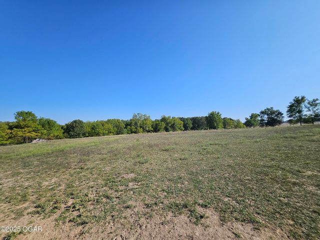 16427 Farm Road 2007, Aurora, MO 65605