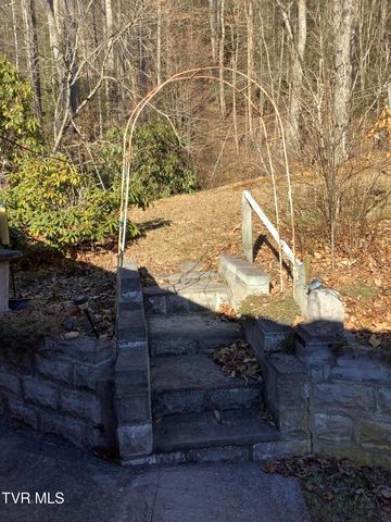 5610 Powell River Road, Norton, VA 24273