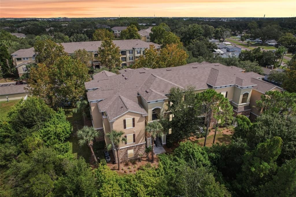 2405 COURTNEY MEADOWS COURT 304, Tampa, FL 33619