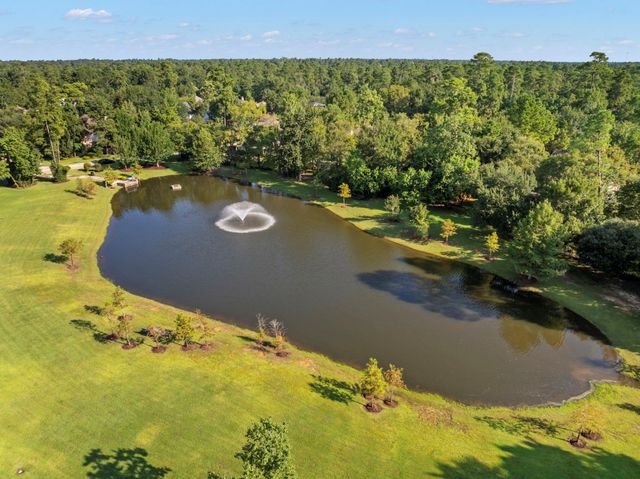 14 Mammoth Springs Court, The Woodlands, TX 77382