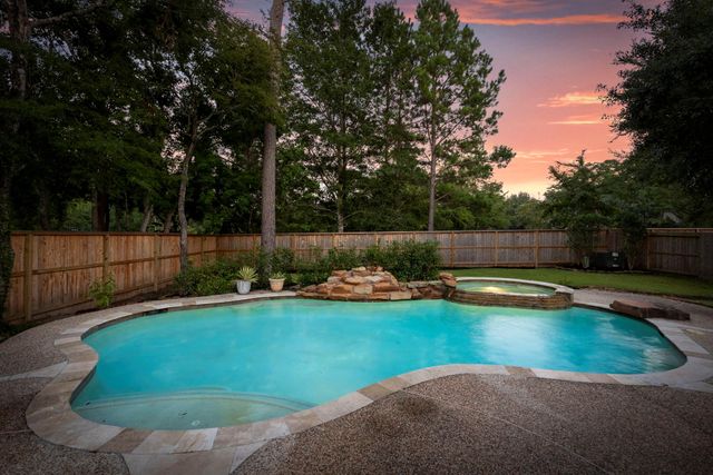 14 Mammoth Springs Court, The Woodlands, TX 77382