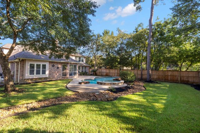 14 Mammoth Springs Court, The Woodlands, TX 77382