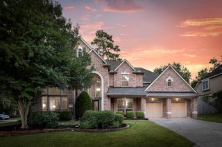 14 Mammoth Springs Court, The Woodlands, TX 77382