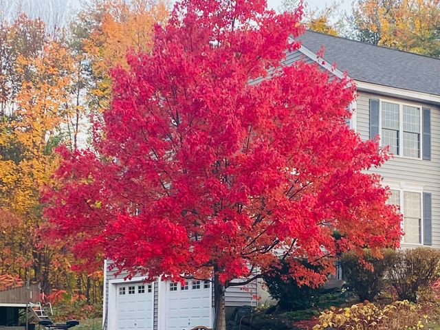 1 Olde Bridge Lane, Epping, NH 03042