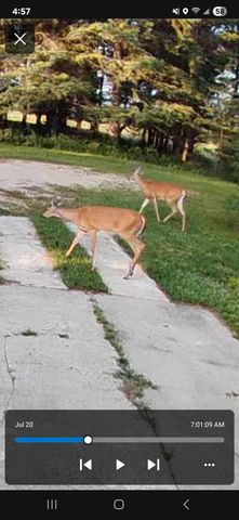 20853 185th Avenue, Park Rapids, MN 56470