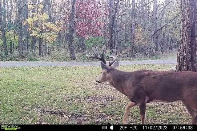 W2948 County Road C, Montello, WI 53949