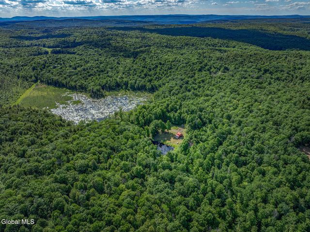 269 Federal City Road, Broome, NY 12122