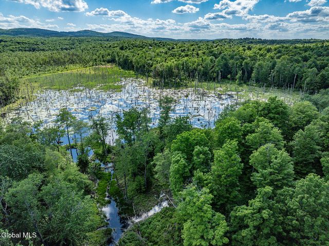 269 Federal City Road, Broome, NY 12122