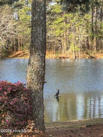 576 Tralee Drive, Smithfield, NC 27577