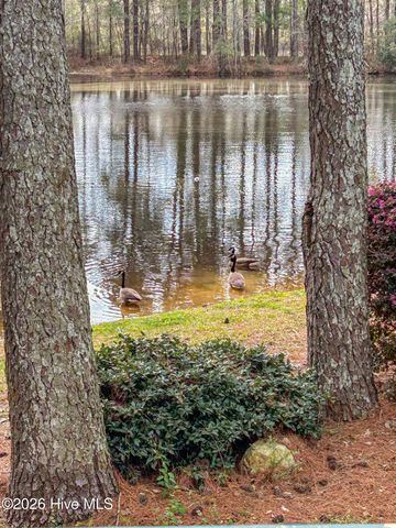 576 Tralee Drive, Smithfield, NC 27577