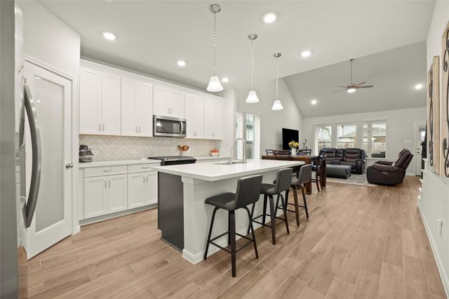 21131 Lady Of The Lake Lane, Cypress, TX 77433