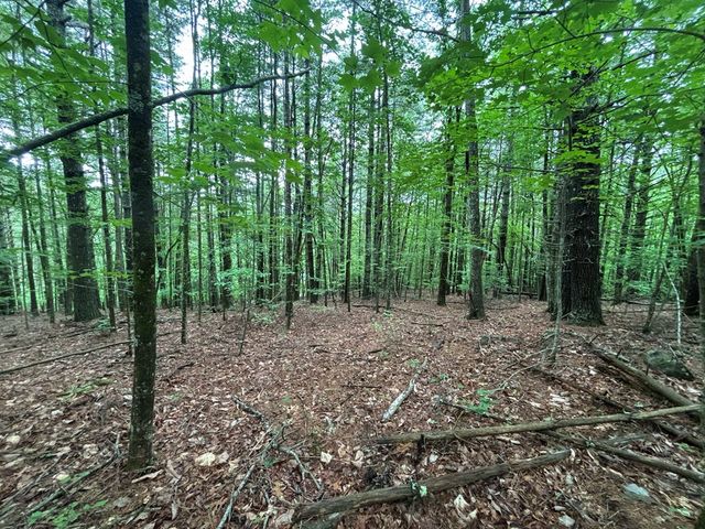 Lot 3 Horse Camp Drive, Hayesville, NC 28904