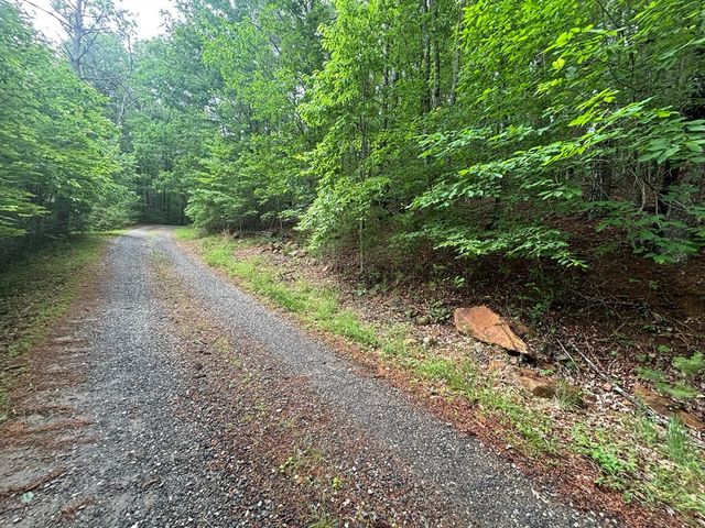 Lot 3 Horse Camp Drive, Hayesville, NC 28904